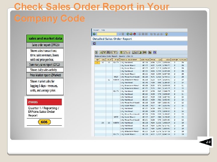 Check Sales Order Report in Your Company Code 