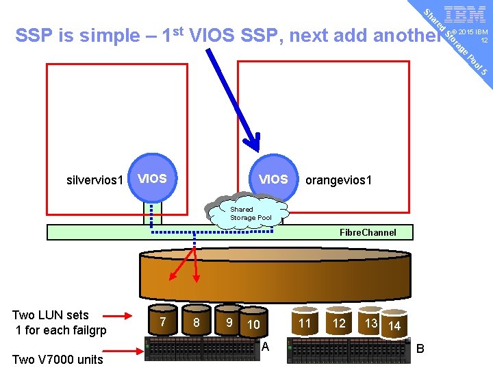 v ed ar Sh © 2015 IBM 12 e ag or St SSP is