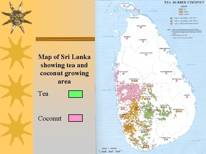 Map of Sri Lanka showing tea and coconut growing area Tea Coconut Map of Sri Lanka showing tea and coconut growing area Tea Coconut