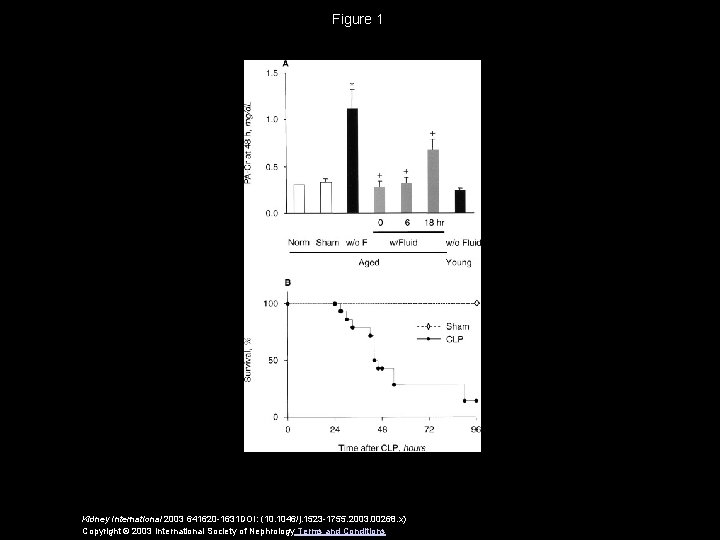 Figure 1 Kidney International 2003 641620 -1631 DOI: (10. 1046/j. 1523 -1755. 2003. 00268.