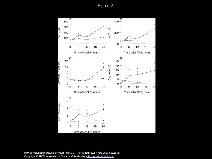 Figure 2 Kidney International 2003 641620 -1631 DOI: (10. 1046/j. 1523 -1755. 2003. 00268.