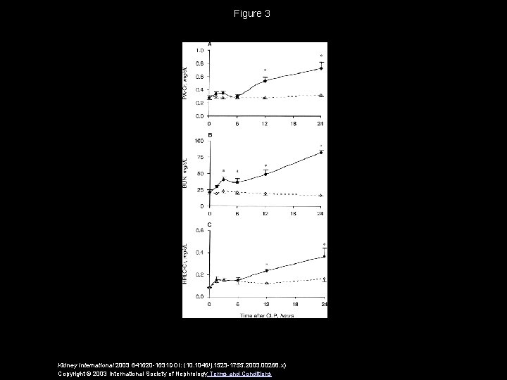 Figure 3 Kidney International 2003 641620 -1631 DOI: (10. 1046/j. 1523 -1755. 2003. 00268.