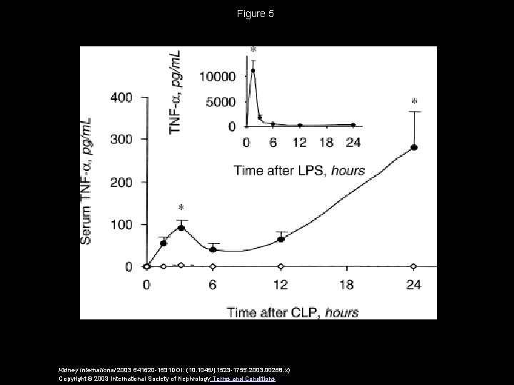 Figure 5 Kidney International 2003 641620 -1631 DOI: (10. 1046/j. 1523 -1755. 2003. 00268.