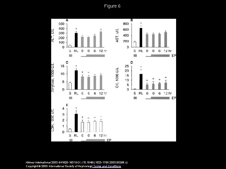 Figure 6 Kidney International 2003 641620 -1631 DOI: (10. 1046/j. 1523 -1755. 2003. 00268.