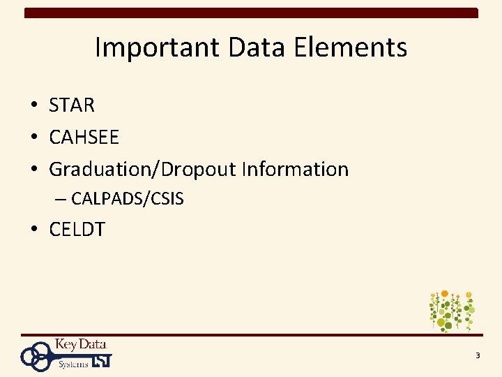 Important Data Elements • STAR • CAHSEE • Graduation/Dropout Information – CALPADS/CSIS • CELDT