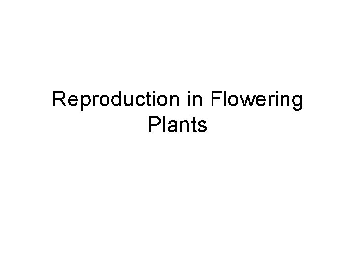 Reproduction in Flowering Plants 