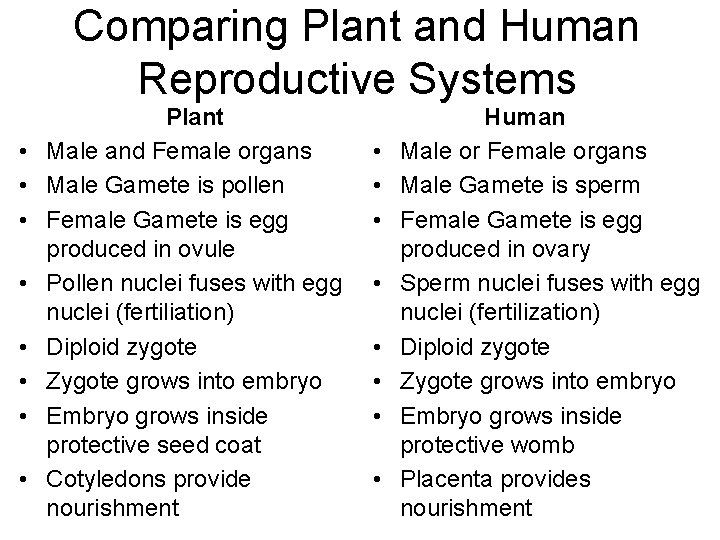 Comparing Plant and Human Reproductive Systems • • Plant Male and Female organs Male
