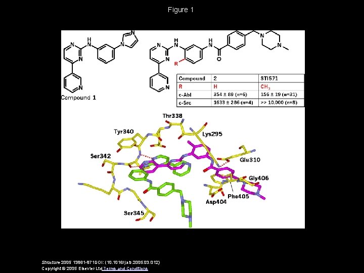 Figure 1 Structure 2005 13861 -871 DOI: (10. 1016/j. str. 2005. 03. 012) Copyright