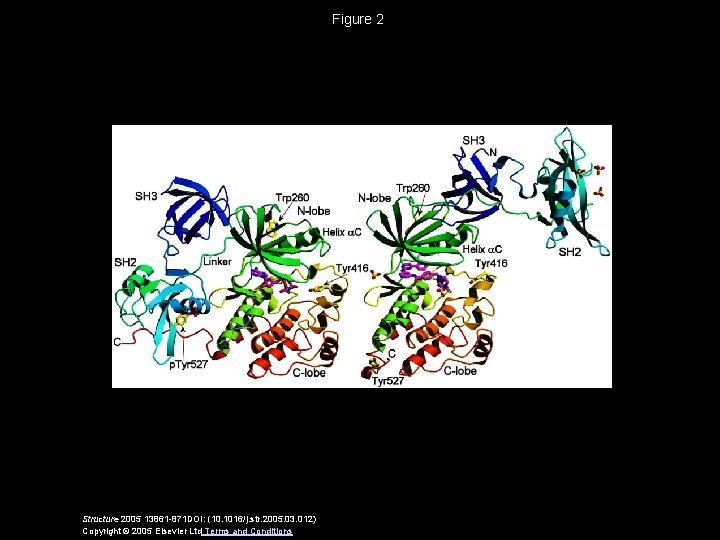 Figure 2 Structure 2005 13861 -871 DOI: (10. 1016/j. str. 2005. 03. 012) Copyright