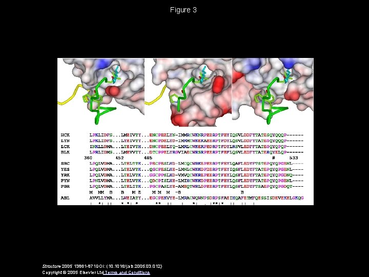 Figure 3 Structure 2005 13861 -871 DOI: (10. 1016/j. str. 2005. 03. 012) Copyright