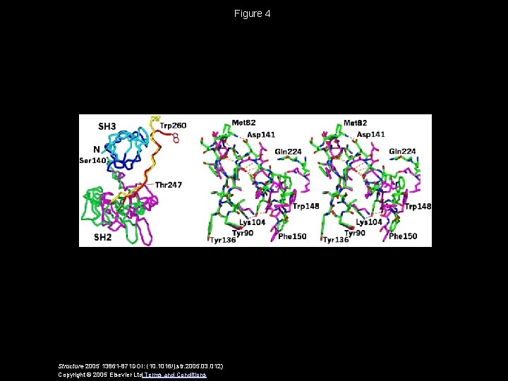 Figure 4 Structure 2005 13861 -871 DOI: (10. 1016/j. str. 2005. 03. 012) Copyright