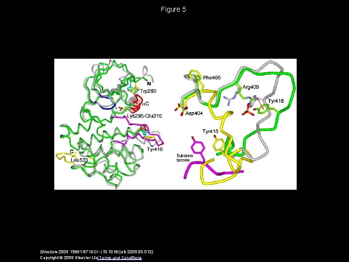 Figure 5 Structure 2005 13861 -871 DOI: (10. 1016/j. str. 2005. 03. 012) Copyright