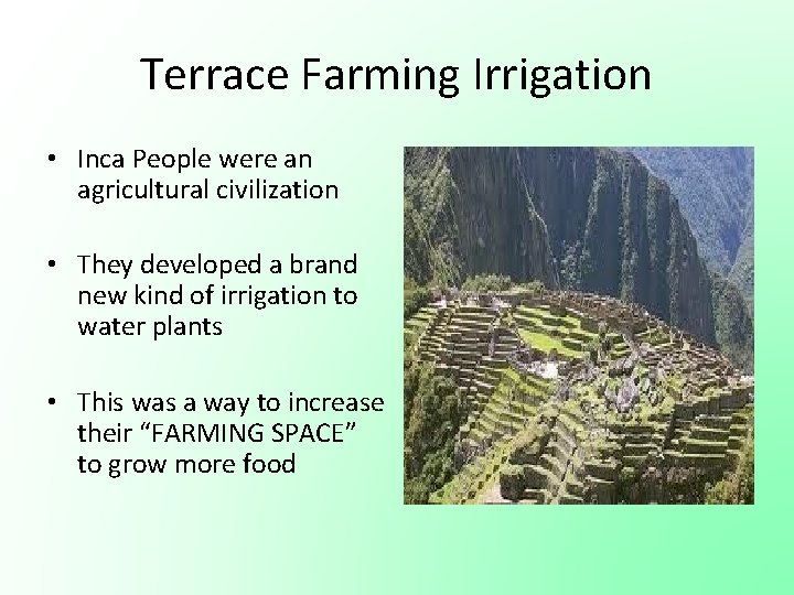 Terrace Farming Irrigation • Inca People were an agricultural civilization • They developed a Terrace Farming Irrigation • Inca People were an agricultural civilization • They developed a