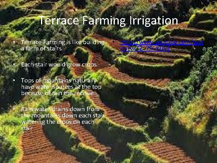 Terrace Farming Irrigation • Terrace Farming is like building a farm of stairs • Terrace Farming Irrigation • Terrace Farming is like building a farm of stairs •