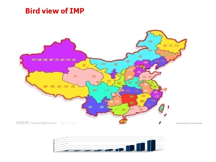 Bird view of IMP Bird view of IMP