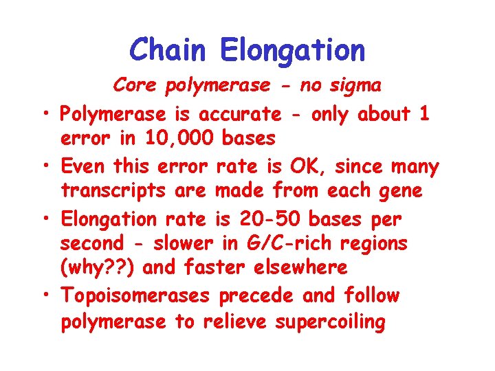 Chain Elongation • • Core polymerase - no sigma Polymerase is accurate - only