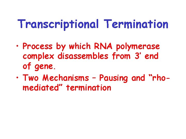 Transcriptional Termination • Process by which RNA polymerase complex disassembles from 3’ end of