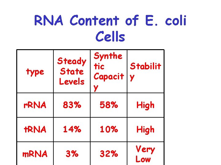 RNA Content of E. coli Cells type Synthe Steady tic Stabilit State Capacit y