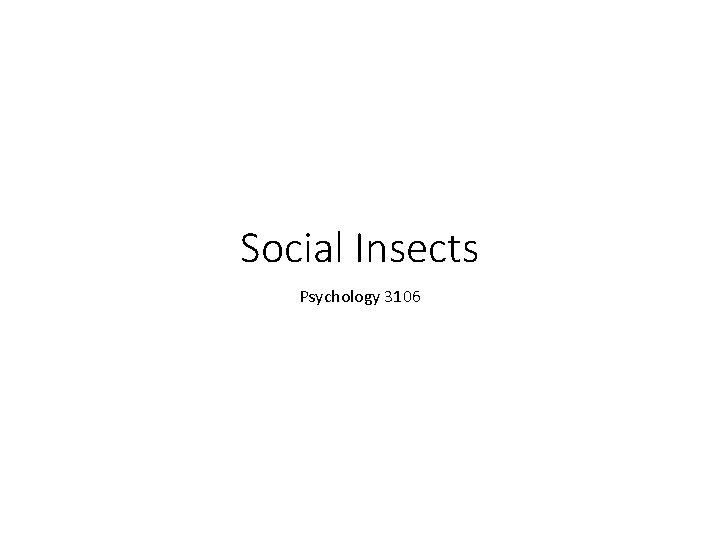 Social Insects Psychology 3106 