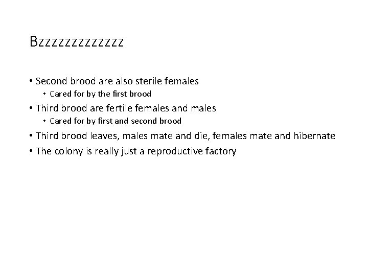 Bzzzzzzz • Second brood are also sterile females • Cared for by the first