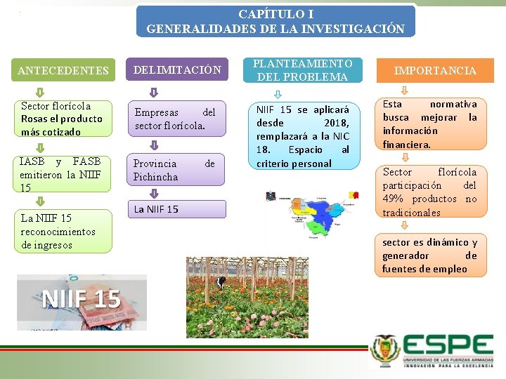 CAPÍTULO I GENERALIDADES DE LA INVESTIGACIÓN ANTECEDENTES DELIMITACIÓN Sector florícola Rosas el producto más