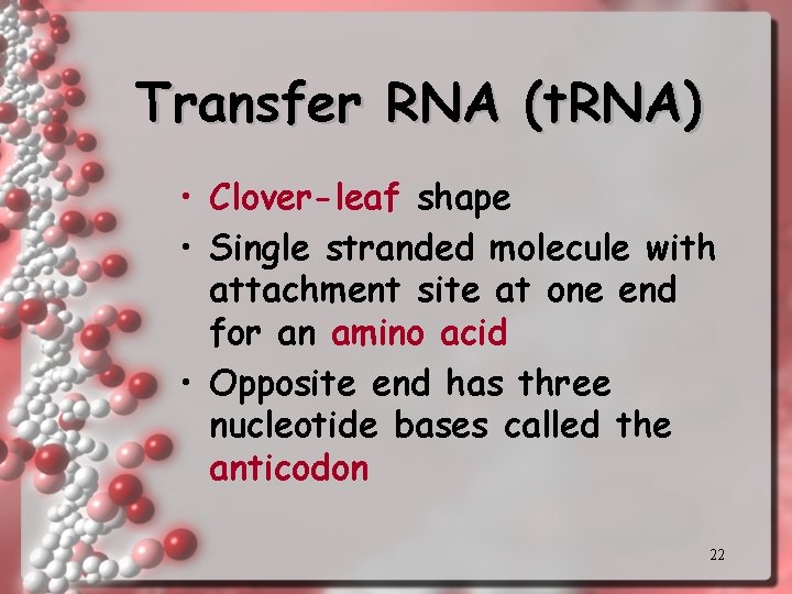 Transfer RNA (t. RNA) • Clover-leaf shape • Single stranded molecule with attachment site
