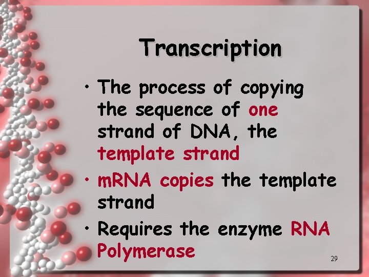 Transcription • The process of copying the sequence of one strand of DNA, the
