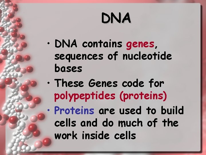 DNA • DNA contains genes, sequences of nucleotide bases • These Genes code for