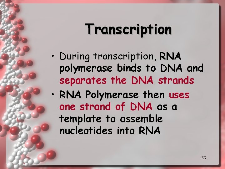 Transcription • During transcription, RNA polymerase binds to DNA and separates the DNA strands