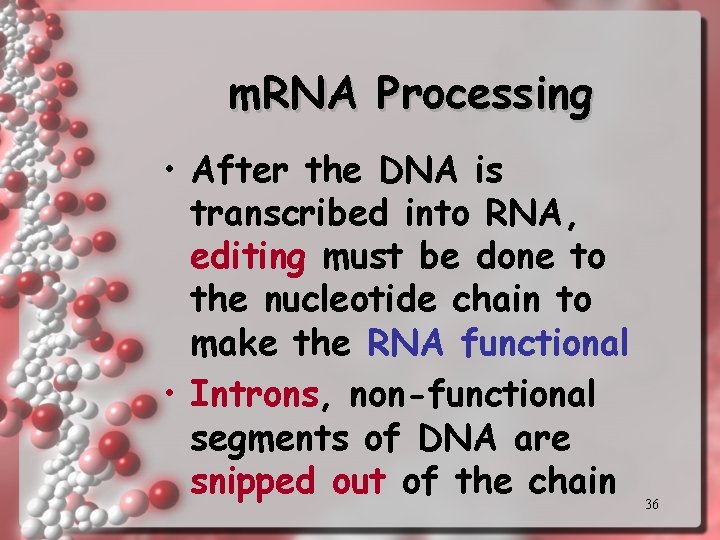 m. RNA Processing • After the DNA is transcribed into RNA, editing must be