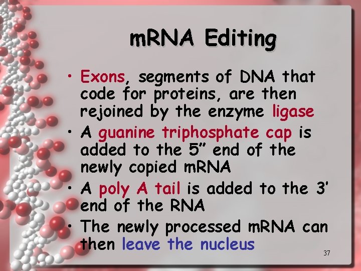 m. RNA Editing • Exons, segments of DNA that code for proteins, are then