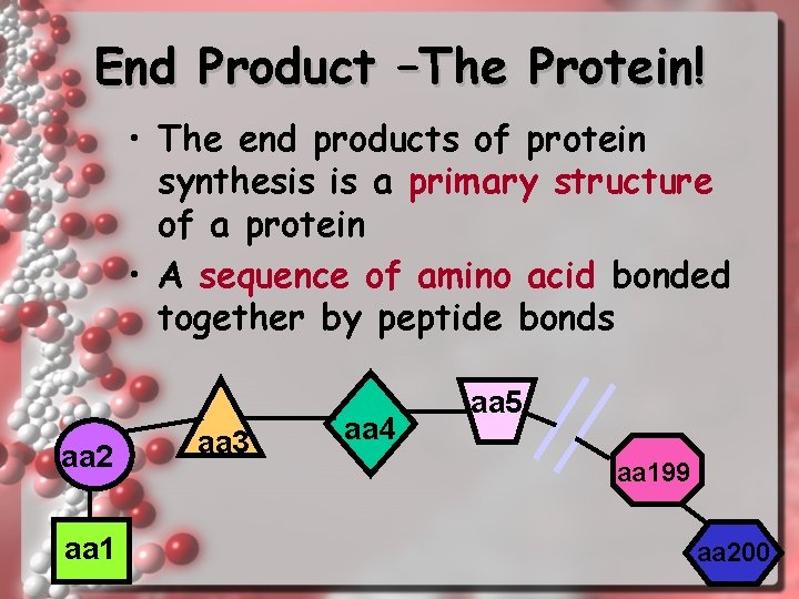 End Product –The Protein! • The end products of protein synthesis is a primary