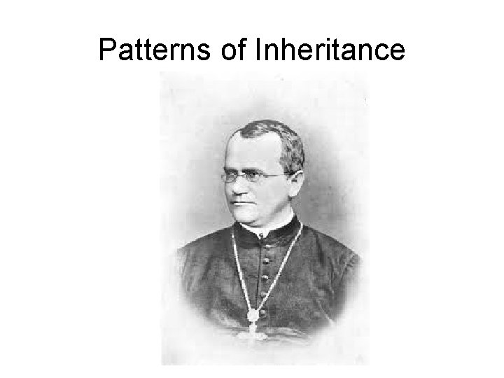 Patterns of Inheritance 