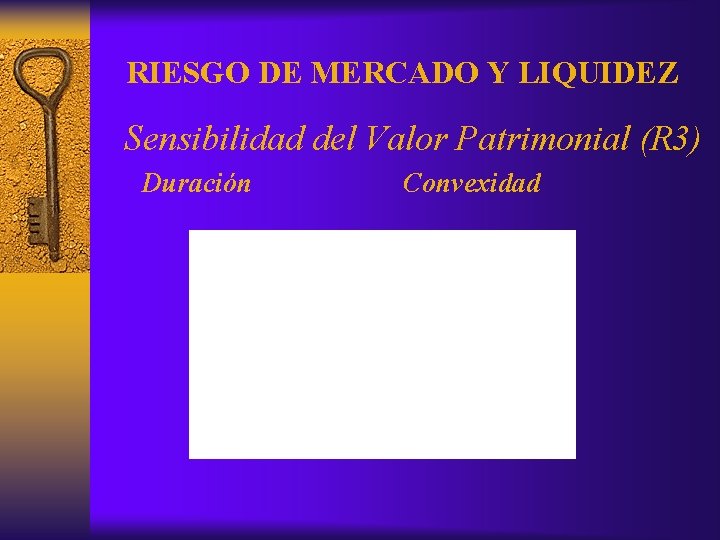 RIESGO DE MERCADO Y LIQUIDEZ Sensibilidad del Valor Patrimonial (R 3) Duración Convexidad 