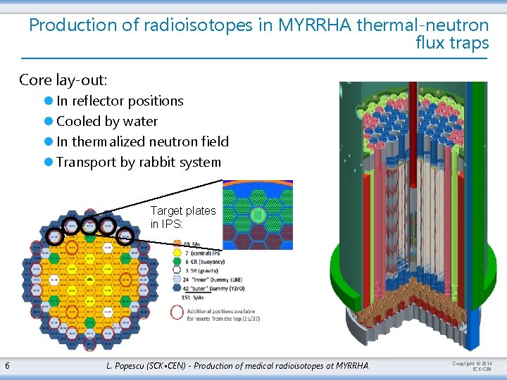 Production of radioisotopes in MYRRHA thermal-neutron flux traps Core lay-out: l In reflector positions