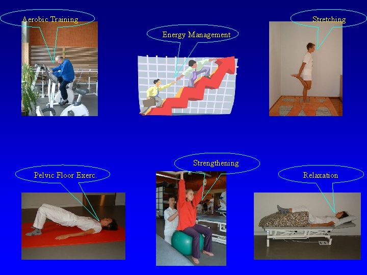 Aerobic Training Stretching Energy Management Strengthening Pelvic Floor Exerc. Relaxation 