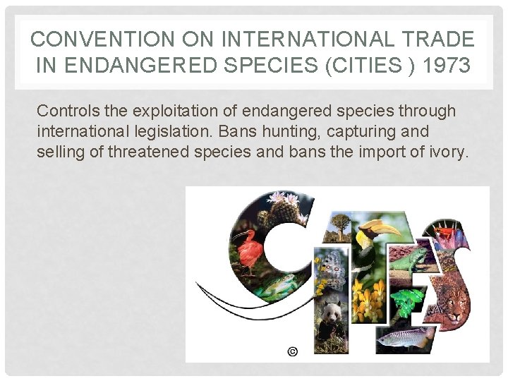 CONVENTION ON INTERNATIONAL TRADE IN ENDANGERED SPECIES (CITIES ) 1973 Controls the exploitation of