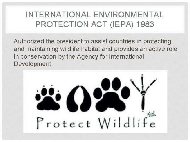 INTERNATIONAL ENVIRONMENTAL PROTECTION ACT (IEPA) 1983 Authorized the president to assist countries in protecting