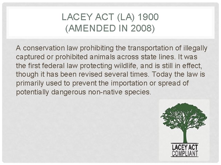 LACEY ACT (LA) 1900 (AMENDED IN 2008) A conservation law prohibiting the transportation of
