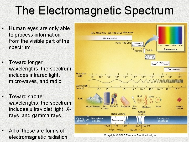 The Electromagnetic Spectrum • Human eyes are only able to process information from the