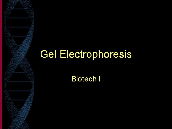 Gel Electrophoresis Biotech I 