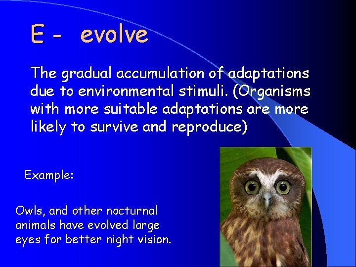 E - evolve The gradual accumulation of adaptations due to environmental stimuli. (Organisms with