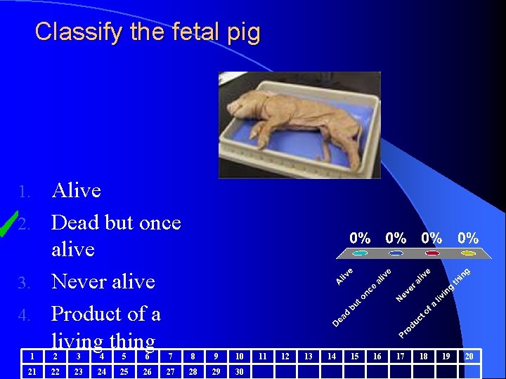 Classify the fetal pig Alive 2. Dead but once alive 3. Never alive 4.