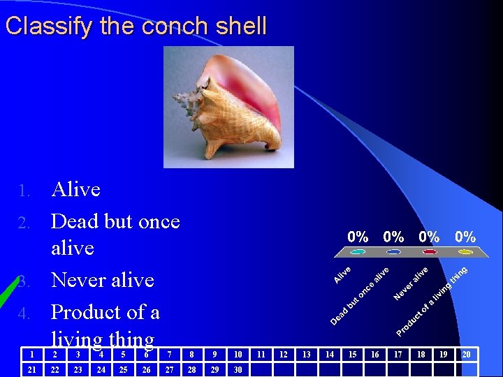 Classify the conch shell Alive 2. Dead but once alive 3. Never alive 4.