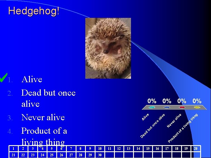 Hedgehog! Alive 2. Dead but once alive 3. Never alive 4. Product of a