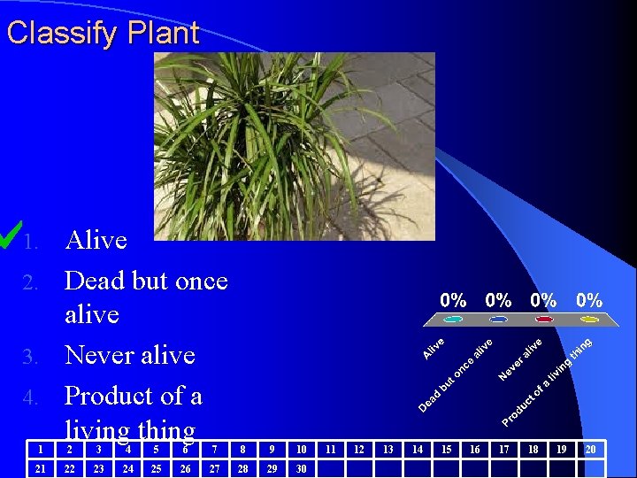 Classify Plant Alive 2. Dead but once alive 3. Never alive 4. Product of