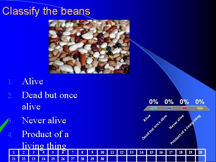 Classify the beans Alive 2. Dead but once alive 3. Never alive 4. Product