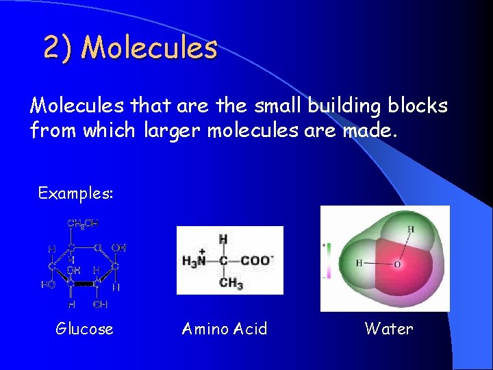 2) Molecules that are the small building blocks from which larger molecules are made.