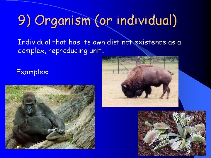 9) Organism (or individual) Individual that has its own distinct existence as a complex,