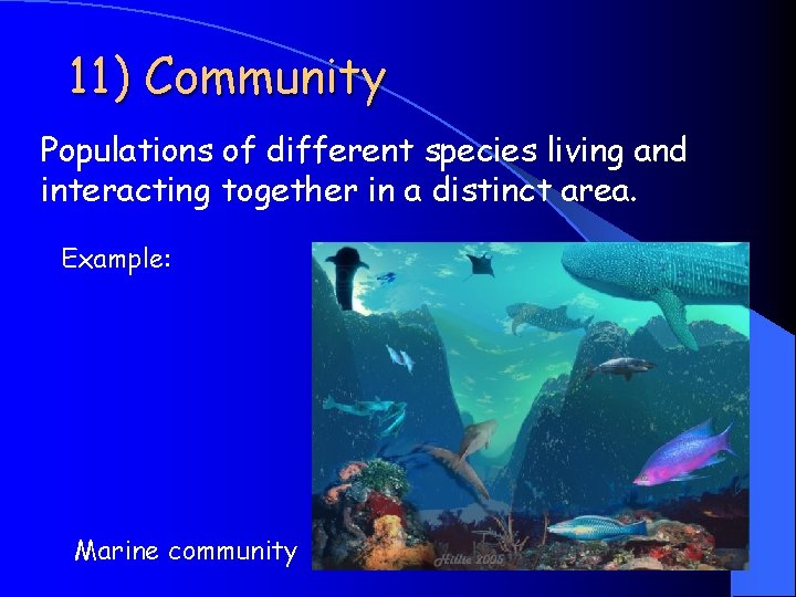 11) Community Populations of different species living and interacting together in a distinct area. 11) Community Populations of different species living and interacting together in a distinct area.